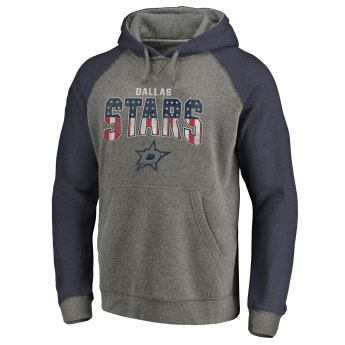 Dallas Stars hanorac de bărbați cu glugă grey Freedom Tri-Blend Raglan