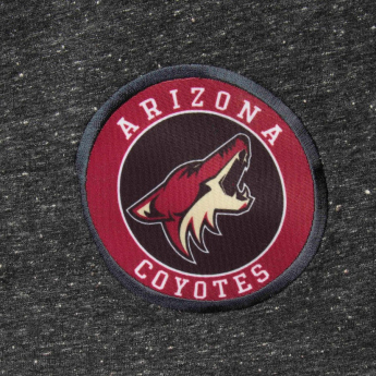 Arizona Coyotes pantaloni scurți pentru bărbați grey Pitch Jam