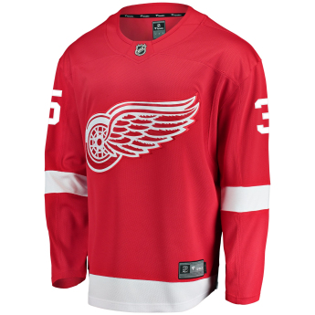 Detroit Red Wings tricou de hochei #35 Jimmy Howard Breakaway Alternate Jersey