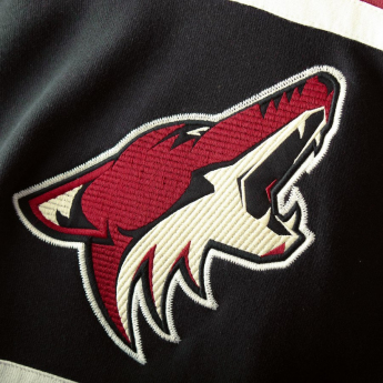 Arizona Coyotes hanorac cu glugă pentru copii Asset Lace-Up Pullover Hoodie