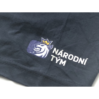 Echipa națională de hochei tricou de bărbați navy Czech Ice Hockey logo lion