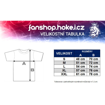 Echipa națională de hochei tricou de bărbați navy Czech Ice Hockey logo lion