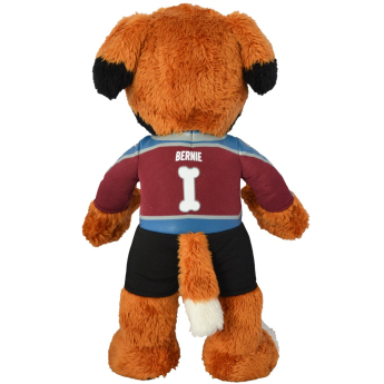 Colorado Avalanche mascotă de pluș Bernie #1