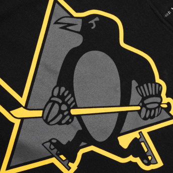 Pittsburgh Penguins hanorac de bărbați cu glugă Imprint Helix Pullover Hood dark
