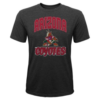 Arizona Coyotes tricou de copii All Time Great Triblend black