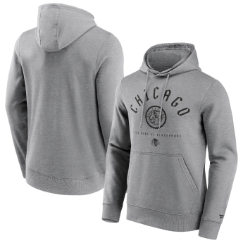 Chicago Blackhawks hanorac de bărbați cu glugă College Stamp Hoodie grey