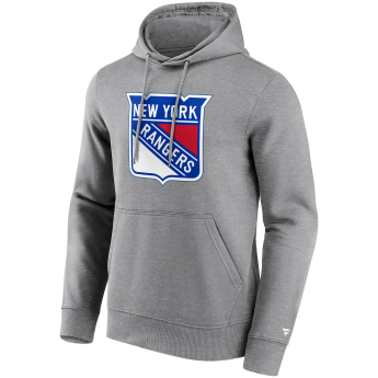 New York Rangers hanorac de bărbați cu glugă Primary Logo Graphic Hoodie grey