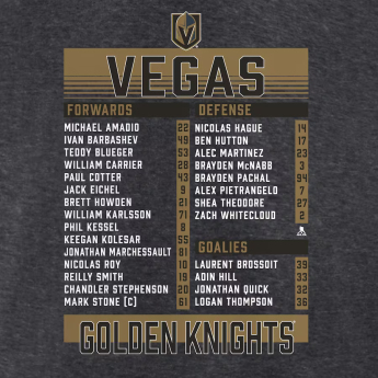 Vegas Golden Knights tricou de bărbați 2023 Stanley Cup Champions Roster Heather Charcoal