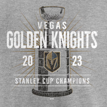 Vegas Golden Knights hanorac de bărbați 2023 Stanley Cup Champions Shootout grey