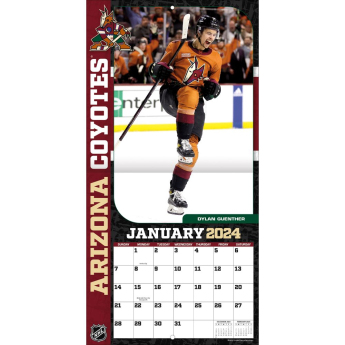 Arizona Coyotes calendar 2024 Wall Calendar