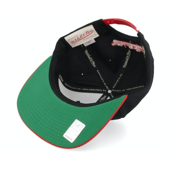 Detroit Red Wings șapcă flat NHL Team 2 Tone 2.0 Pro Snapback