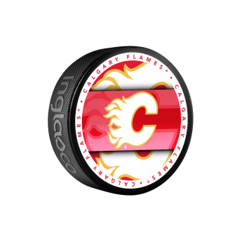 Calgary Flames puc Medallion Souvenir Collector