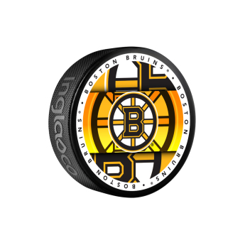 Boston Bruins puc Medallion Souvenir Collector Hockey Puck
