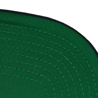 Hartford Whalers șapcă flat Retro Sport Snapback Vintage