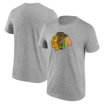 Chicago Blackhawks tricou de bărbați Primary Logo Graphic T-Shirt grey