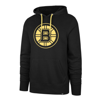 Boston Bruins hanorac de bărbați cu glugă Imprint Helix Pullover Hood dark