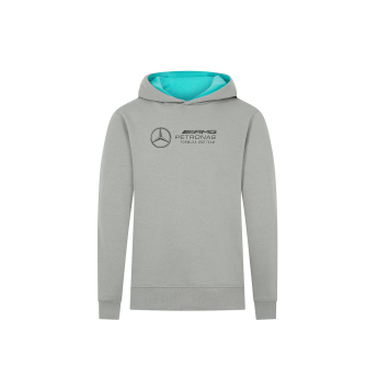 Mercedes AMG Petronas hanorac cu glugă pentru copii Hoody Large Logo grey F1 Team 2024