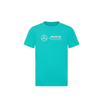 Mercedes AMG Petronas tricou de copii Large Logo green F1 Team 2024