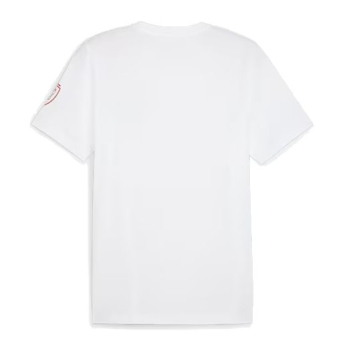 Echipa națională de fotbal tricou de bărbați Czech republic Ftblicons Tee white