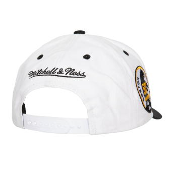 Boston Bruins șapcă de baseball Tail Sweep Pro Snapback Vintage