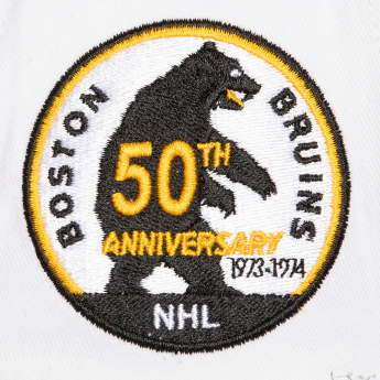 Boston Bruins șapcă de baseball Tail Sweep Pro Snapback Vintage
