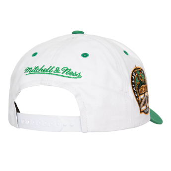 Dallas Stars șapcă de baseball Tail Sweep Pro Snapback Vintage
