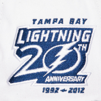 Tampa Bay Lightning șapcă de baseball Tail Sweep Pro Snapback Vintage