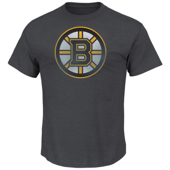 Boston Bruins tricou de bărbați Pigment Dyed grey