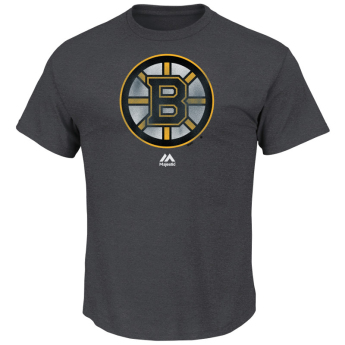 Boston Bruins tricou de bărbați Raise the Level grey