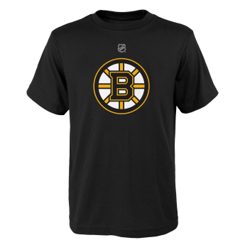 Boston Bruins tricou de bărbați Team Logo black