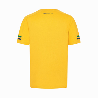 Ayrton Senna tricou de bărbați Stripe yellow 2024