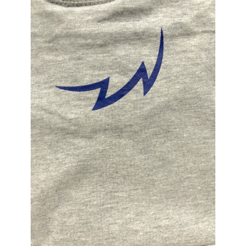 Echipa națională de hochei tricou de dama grey Czech Ice Hockey logo lion