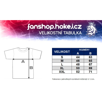 Echipa națională de hochei tricou de dama grey Czech Ice Hockey logo lion
