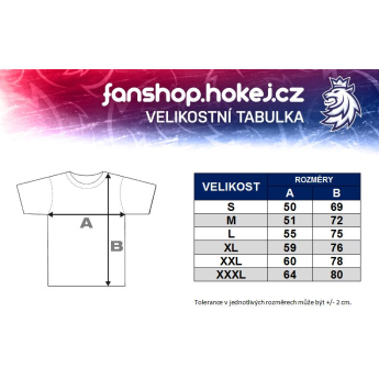 Echipa națională de hochei tricou de bărbați grey Czech Ice Hockey logo EST 1908