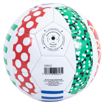 EURO 2024 balon de fotbal Patterned size - 5