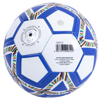 EURO 2024 balon de fotbal Blue size - 5
