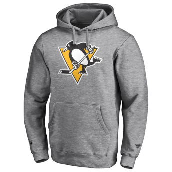 Pittsburgh Penguins hanorac de bărbați cu glugă Iconic Secondary Colour Logo Graphic