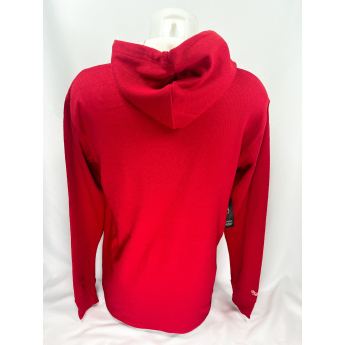 Detroit Red Wings hanorac de bărbați cu glugă Thermal Lightweight Hoodie Current Logo