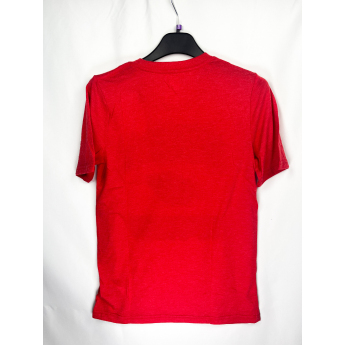 Minnesota Wild tricou de copii All Time Great Triblend