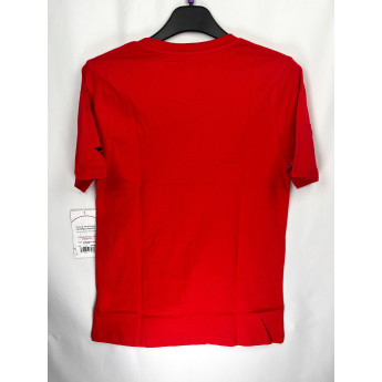 Detroit Red Wings tricou de copii Apro Wordmark Ss Ctn Tee