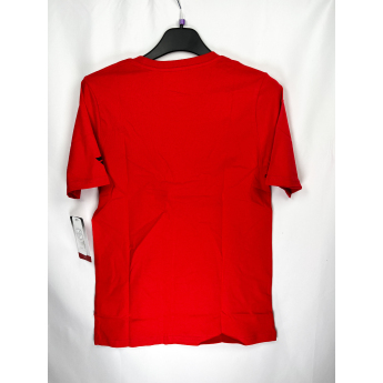 Chicago Blackhawks tricou de copii Apro Wordmark Ss Ctn Tee red
