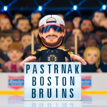 Boston Bruins jucător de pluș David Pastrňák