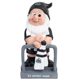 Newcastle United pitic Terrace