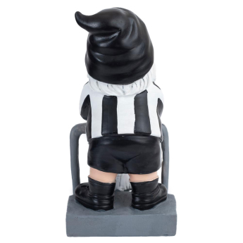 Newcastle United pitic Terrace