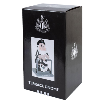 Newcastle United pitic Terrace