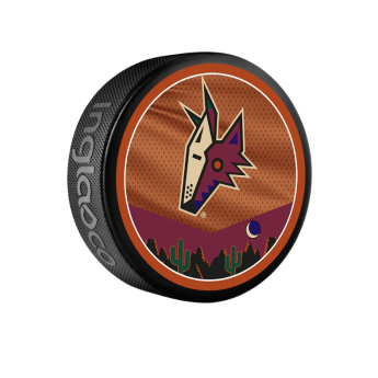 Arizona Coyotes puc reverse retro jersey souvenir collector hockey puck