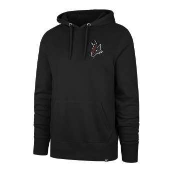 Arizona Coyotes hanorac de bărbați cu glugă Imprint Backer 47 Burnside Hood
