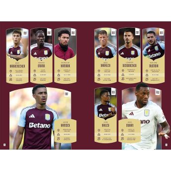 Aston Villa anuar de carte 2025