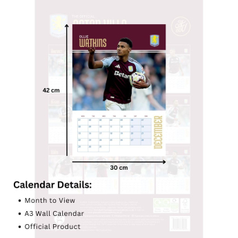 Aston Villa calendar 2025