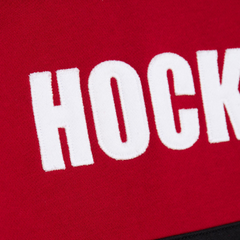 Detroit Red Wings hanorac de bărbați cu glugă Head Coach Hoodie Current Logo
